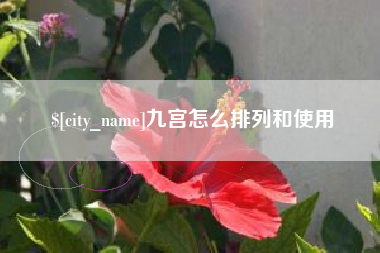 十堰九宫怎么排列和使用