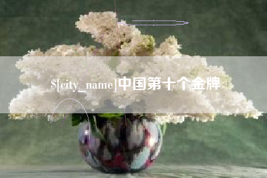 十堰中国第十个金牌