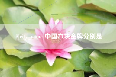 十堰中国六块金牌分别是