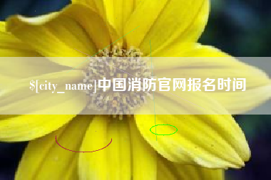 十堰中国消防官网报名时间