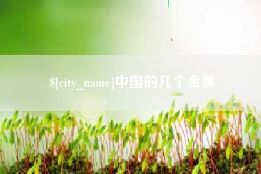 十堰中国的几个金牌