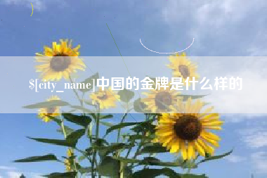 十堰中国的金牌是什么样的