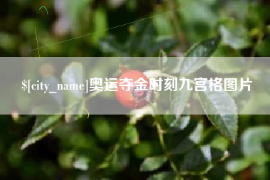 十堰奥运夺金时刻九宫格图片
