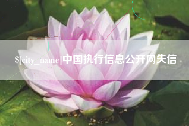 十堰中国执行信息公开网失信