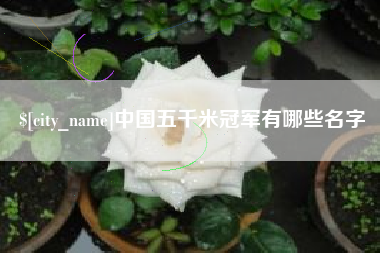 十堰中国五千米冠军有哪些名字
