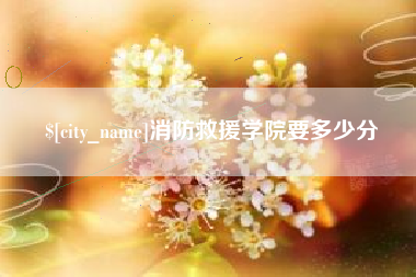 十堰消防救援学院要多少分