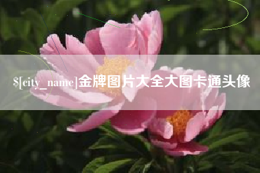 十堰金牌图片大全大图卡通头像