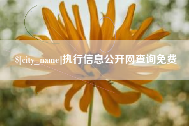 十堰执行信息公开网查询免费