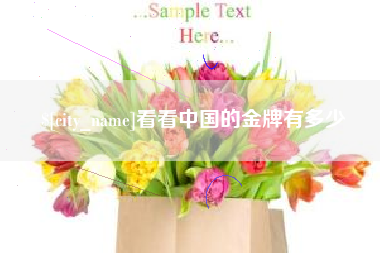 十堰看看中国的金牌有多少